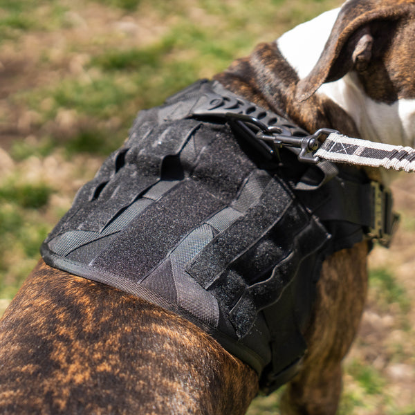 Best tactical dog harness best sale