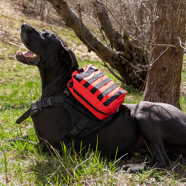 Emergency Kits - ruffnreadydogs
