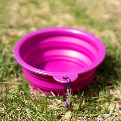 Collapsible Dog Bowl - Small (Pair)