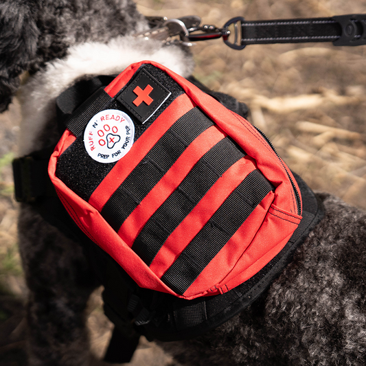 Canine Emergency Kit - Small